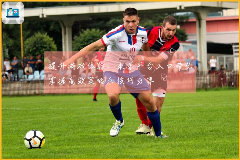 提升游戏体验，米乐平台入口带你掌握高效策略和技巧分享