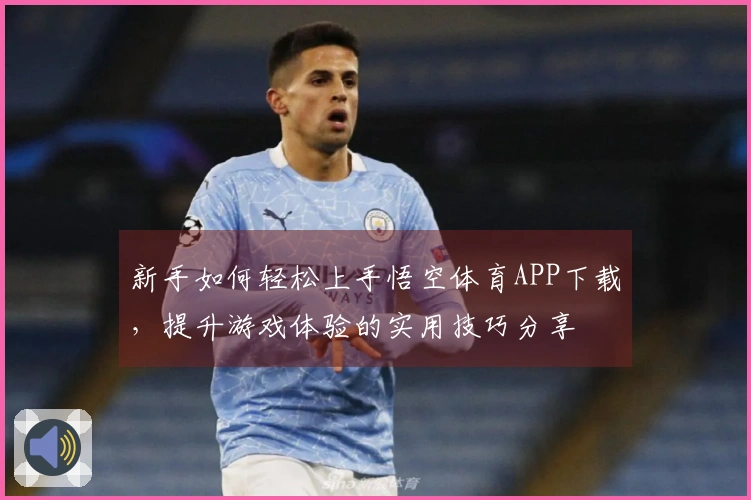 新手如何轻松上手悟空体育APP下载，提升游戏体验的实用技巧分享