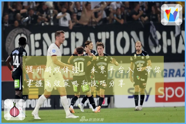 提升游戏体验，米乐平台入口带你掌握高效策略和技巧分享